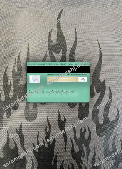 Netherlands Triodos Bank visa electron card photolook back